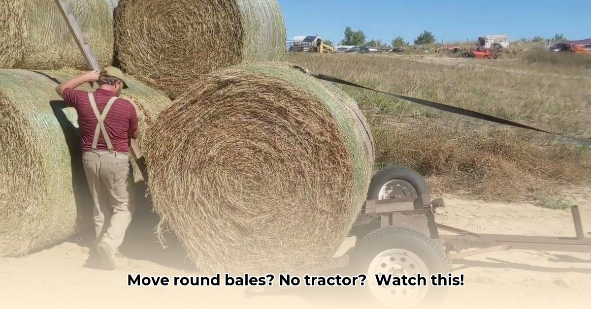 how-to-move-a-round-bale-without-a-tractor